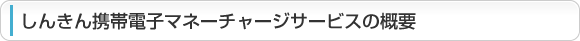 񂫂gѓdq}l[`[WT[rX̊Tv