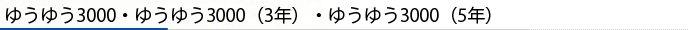 ゆうゆう3000